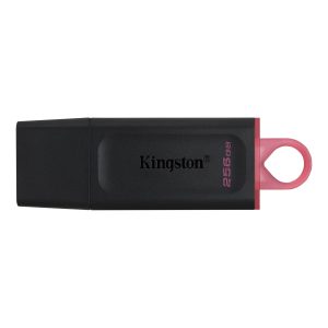 Memoria USB Kingston Technology DTX/256GB, Negro, 256 GB, USB
