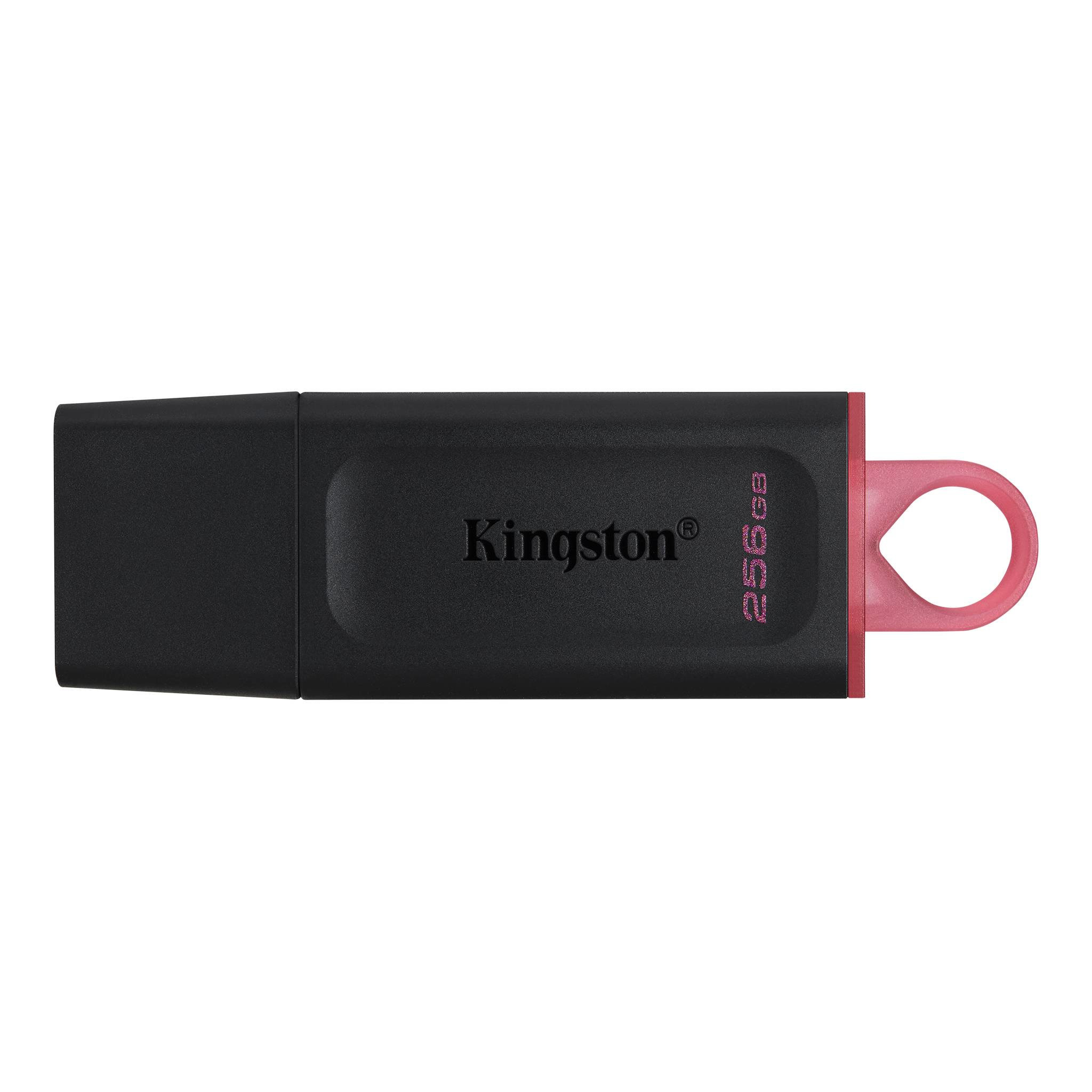 Memoria USB Kingston Technology DTX/256GB, Negro, 256 GB, USB