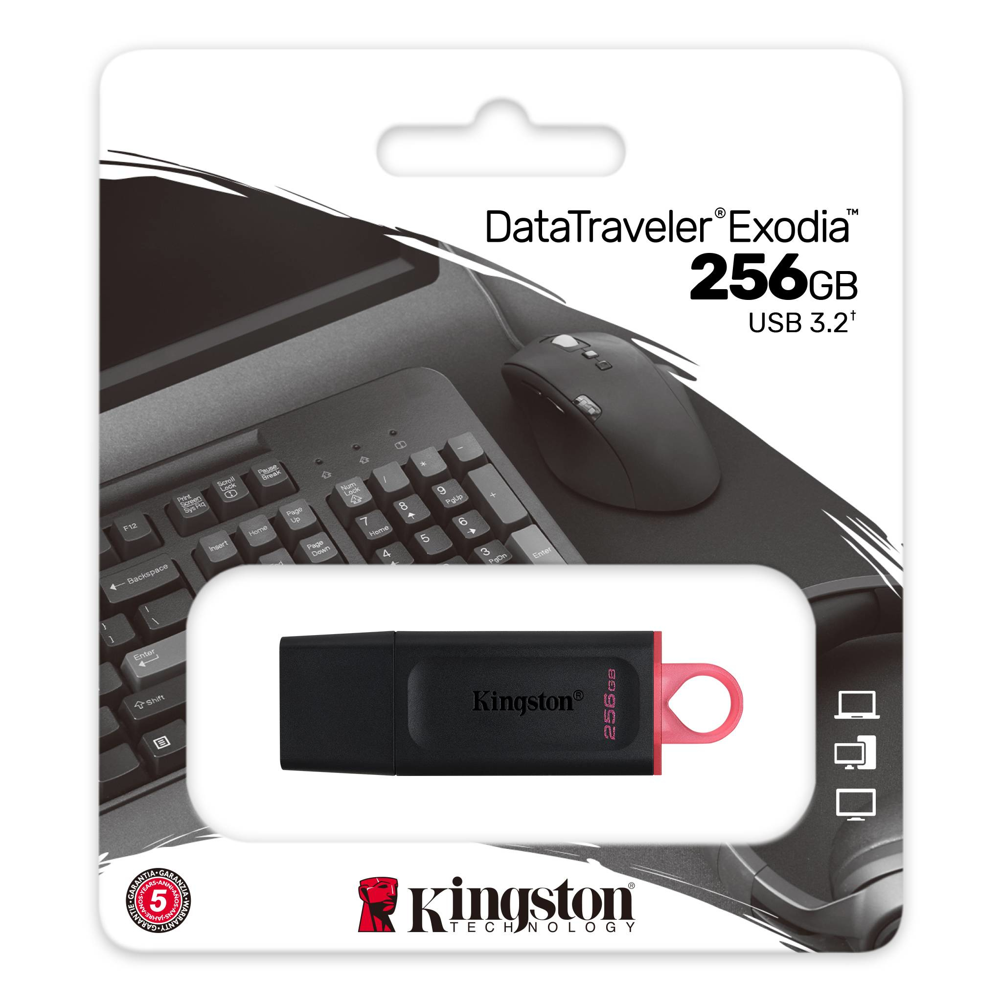 Memoria USB Kingston Technology DTX/256GB, Negro, 256 GB, USB