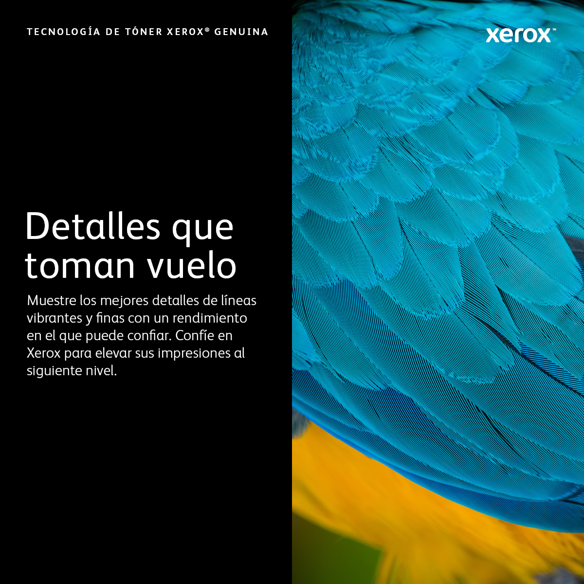 XEROX 106R03396 TONER NEGRO 31K B7000