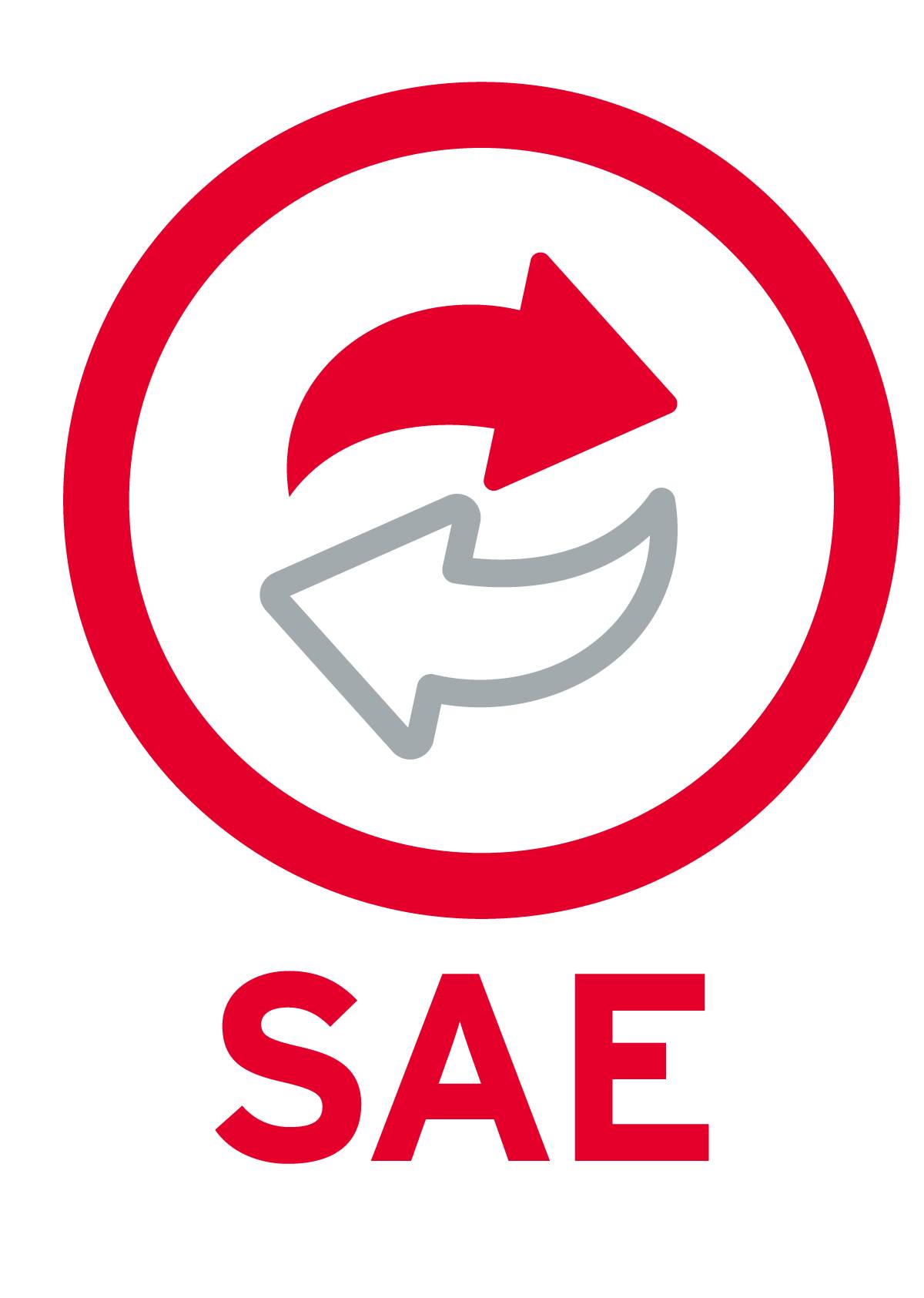 1 USUARIO ADICIONAL SAE 10 NUEVO SAEL1N (FISICO)