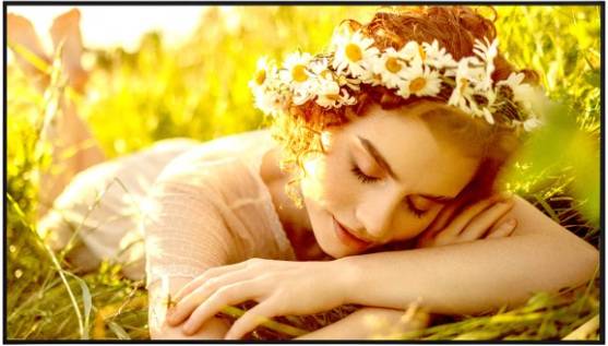 Monitor Profesional LG 55 pulgadas 55UL5Q, Resolución 3840x2160 UHD